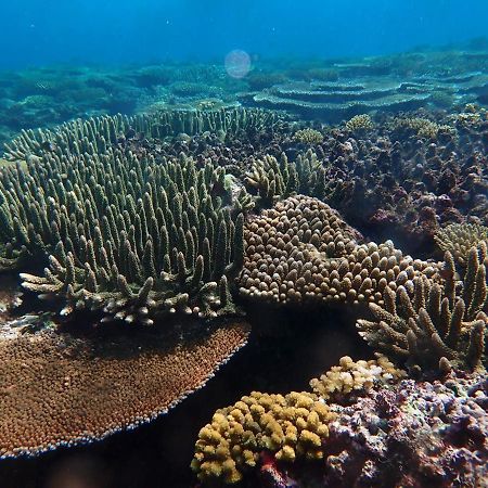 Fiji Lodge Vosa Ni Ua Savusavu Exteriör bild
