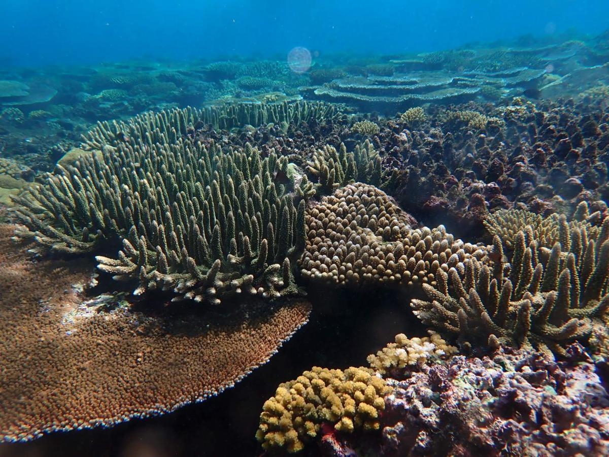 Fiji Lodge Vosa Ni Ua Savusavu Exteriör bild